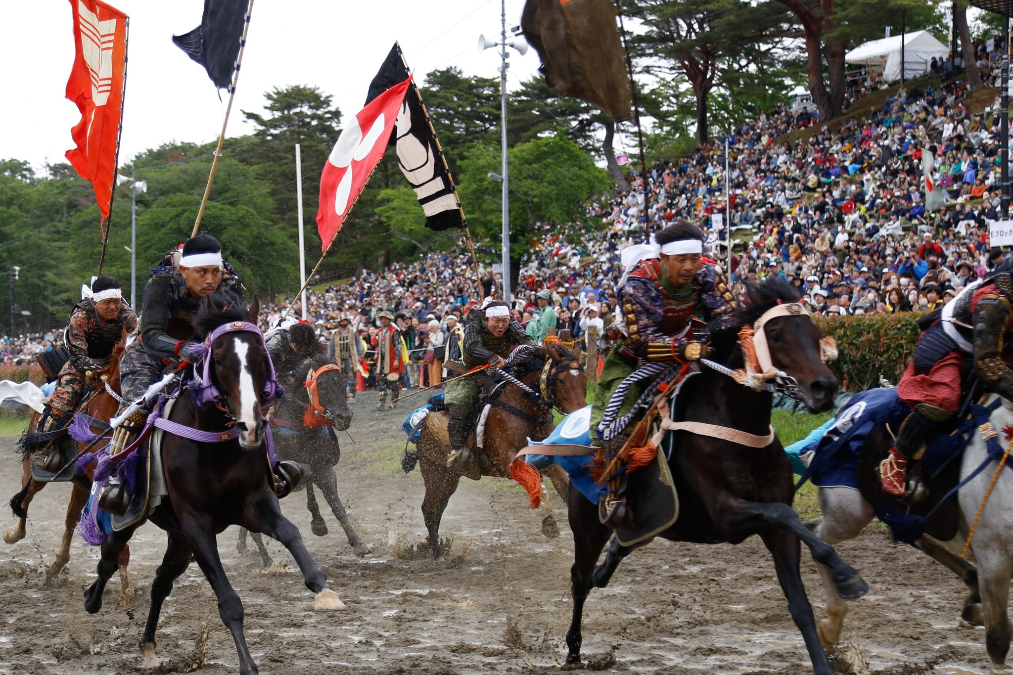 甲冑競馬に初出走した杉浦由悟さん(中央)