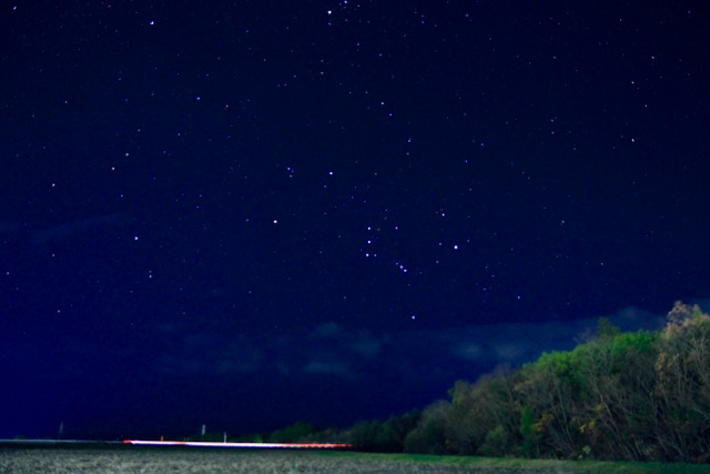 大川原夜景